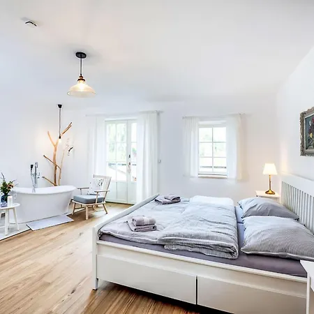 Zvonkova By Interhome Apartmán